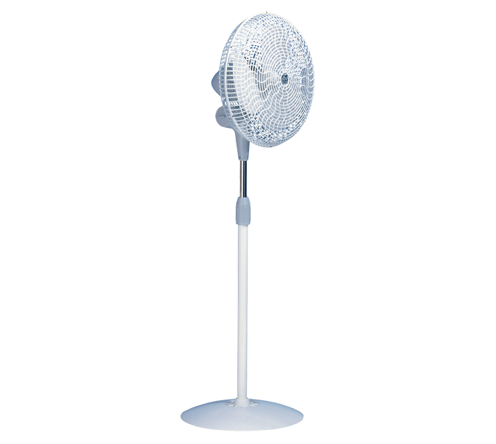 ventilateur sur pied grande taille 189 Cm Gordon Vortice avec